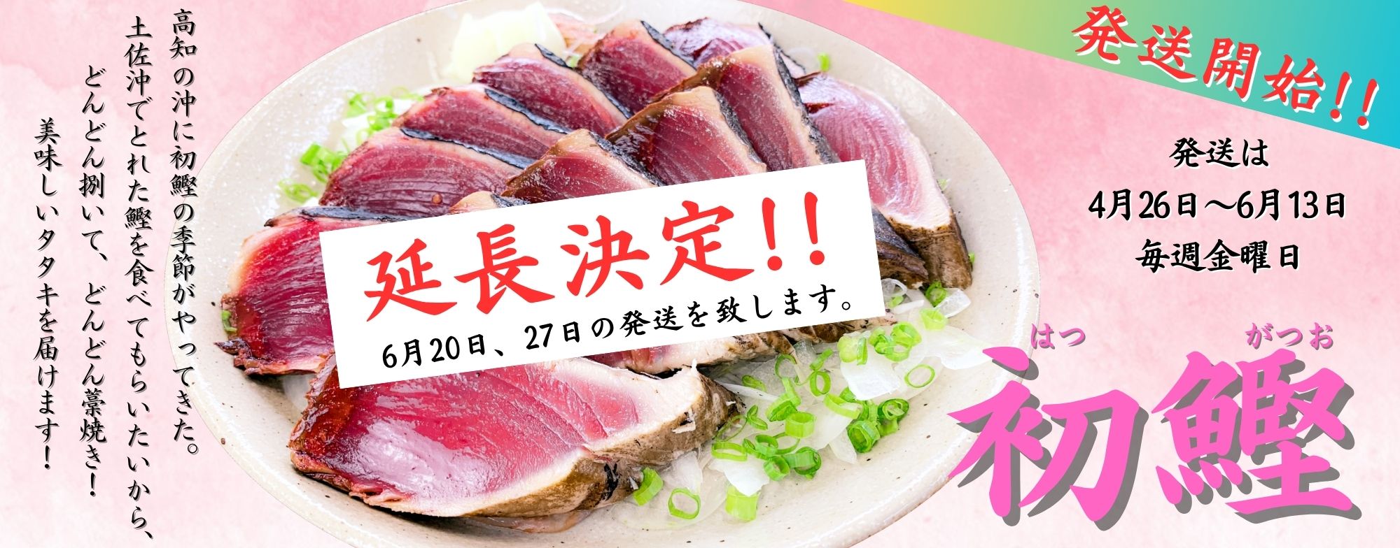 かつおのタタキ/きびなごフィレのさんちょく- 土佐佐賀 産直出荷